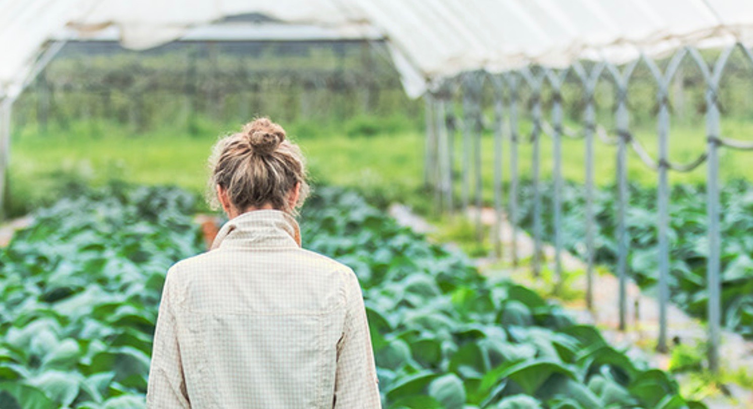 Portfolio Showcase Prolog Ventures